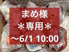 【まめ様専用】ワンピの実