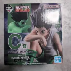HUNTER×HUNTER C賞 ゴン MASTERLISE　1番くじ