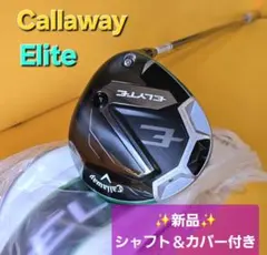 Item thumbnail for item f862db48-f3f5-42e4-b676-ab1c8d05b971