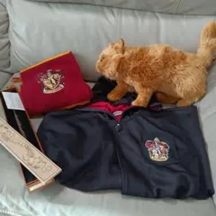 ハリーポッター グリフィンドール ローブ　ハーマイオニーセット