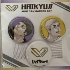 ハイキューSVリーグコラボ　缶バッジ