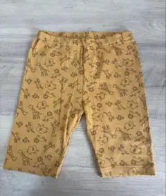 Item thumbnail for item 1396ffe1-7188-4690-a8e8-4cc34b2c7c98