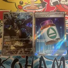 Nのゼクロムar Nのポイントアップsr