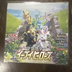 ポケモンカード イーブイヒーローズ テラスタルフェス 韓国版
