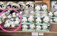 上野動物園 シャオシャオ＆レイレイ 1周年記念 ぬいぐるみ 新品未開封