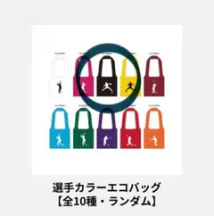 伊藤大海　選手カラーエコバッグ　黒　ファイターズ　日ハム　エコバッグ　17