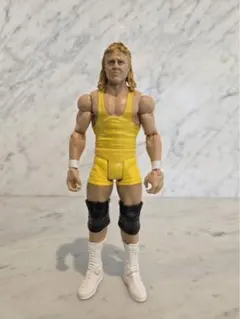 WWE マテル　エリート　鈴木みのる　カスタムフィギュア WWE マテル エリート 鈴木みのる カスタムフィギュア