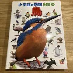 Item thumbnail for item 5c098fc8-7f7d-4cbe-9664-632031467fde