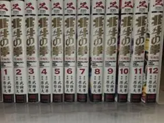 2026年最新】北斗の拳 究極版 全巻の人気アイテム - メルカリ