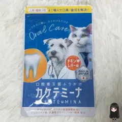 Item thumbnail for item bedbdffa-bbaa-4444-acf6-ef90adf1d4fd