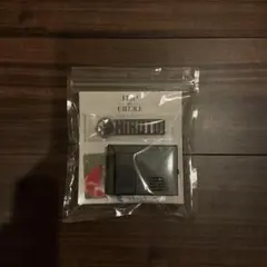 INI ボイスキーフック　西洸人