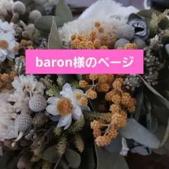 baron様専用ページ