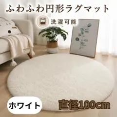 ラグマット 丸型 100cm 白色　洗える カーペット 滑り止め 円形のサムネイル