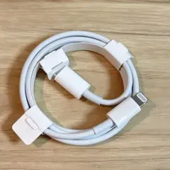 純正 Apple iPhone Lightningケーブル タイプC