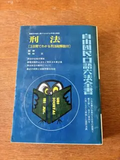 刑法 (3日間でわかる刑法総解説付)