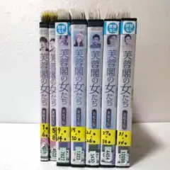 韓流　芙蓉閣の女たち 新妓生伝　1～34巻　全巻セット DVD