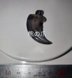 月の輪熊 ツキノワグマ 外爪 5本セット - メルカリ
