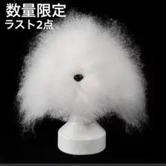 トリミング用犬体モデル トリミングドール カットモデルドール - メルカリ
