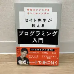 セイト先生が教えるプログラミング入門 プログラミング入門のサムネイル