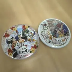 東京ディズニーランド 缶バッジ 2個セット