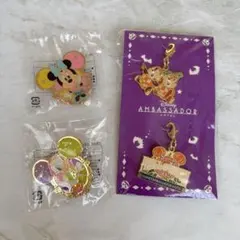 Disney sea ハロウィン キーホルダー&ピンバッジセット