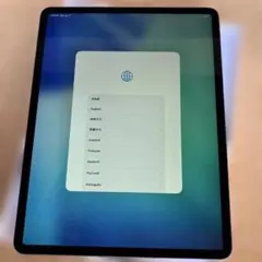 iPad Pro 12.9 第4世代 Cellular 1TB グレー 84%