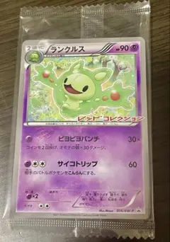 ランクルス レッドコレクション プロモ 未開封