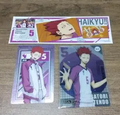 ハイキュー!! 天童覚 カードステッカーセット