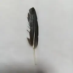 天然素材 黒い羽根 ハンドメイド素材