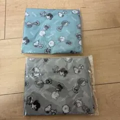 スヌーピー デイリーバッグ 2点セット
