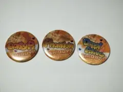 ヒプマイ ストリートアート風缶バッジ FlingPosse シブヤ