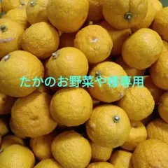 【たかのお野菜や様専用】柚子　無農薬　ワックスなし