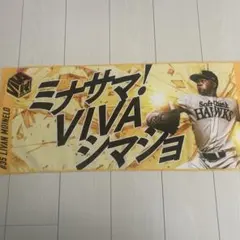 CS入場特典　ソフトバンクホークス モイネロ　応援タオル