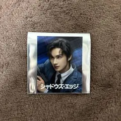 シャドウズ・エッジ ビジュアルカード SEVENTEEN セブチ ジュン