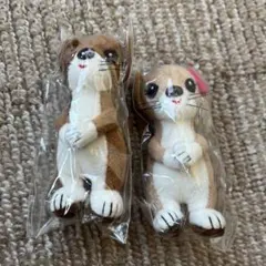 Item thumbnail for item a3378ea0-bcdc-4673-bdb4-c1d6cdde9cbe