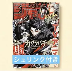 週刊少年ジャンプ 2026年 24号 シュリンク未開封 カグラバチ 新品