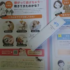 Item thumbnail for item ed7b546d-05e2-4d4e-9ab9-adbb28b1da32