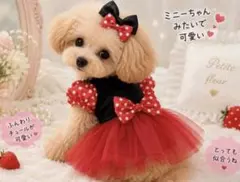犬服 ワンピース ドレス チュール リボン ドット柄 小型犬 トイプードルのサムネイル
