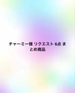 チャーミー様 リクエスト 6点 まとめ商品