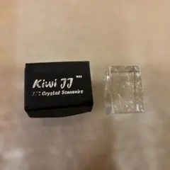 Item thumbnail for item 527ca8ab-a3bc-407a-a840-56f3ba43e4ce