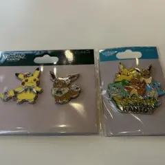 ポケパークカントー ピンズ まとめ売り - メルカリ