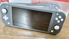 d*2様 即購入⭕️ Nintendo Switch Lite グレー 本体　箱 新品 (任天堂 Nintendo Switch Lite グレー )4902370542929 ライト