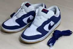 NIKE SB DUNK LOW PRO PRM DO9395-400