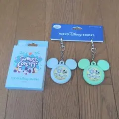 【新品未使用品】東京ディズニーリゾート 缶バッチ＆缶バッチキーホルダー セット