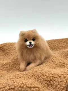 ポメラニアン　羊毛フェルト　にこにこポメちゃん　オレンジ ポメラニアン 羊毛フェルト にこにこポメちゃん オレンジ - メルカリ
