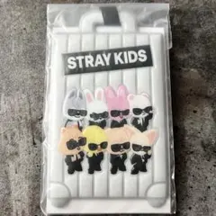 StrayKids スキズ RUN IT JAPAN アプグレ特典 ラゲッジタグ