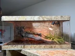 フミフミ様専用　903940 サイドアクリル