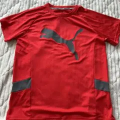 160 Puma レッド Tシャツ