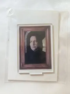 ハリーポッター セブルス・スネイプ アクリルスタンド コレクション