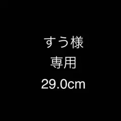 すう様　専用